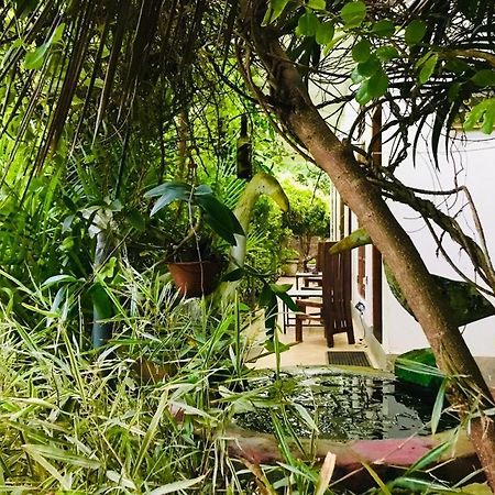 Green Jade Inn Mirissa Εξωτερικό φωτογραφία