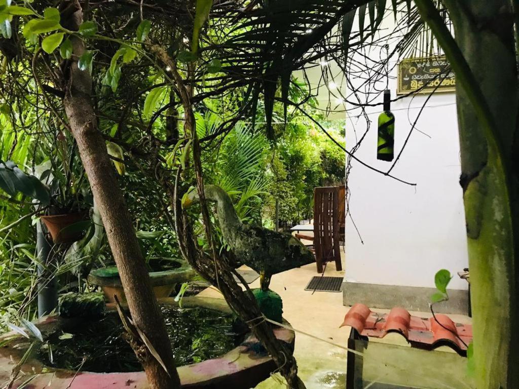 Green Jade Inn Mirissa Εξωτερικό φωτογραφία