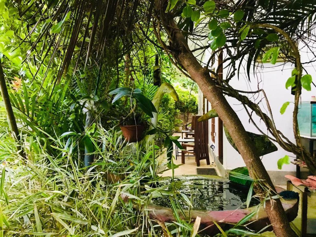 Green Jade Inn Mirissa Εξωτερικό φωτογραφία